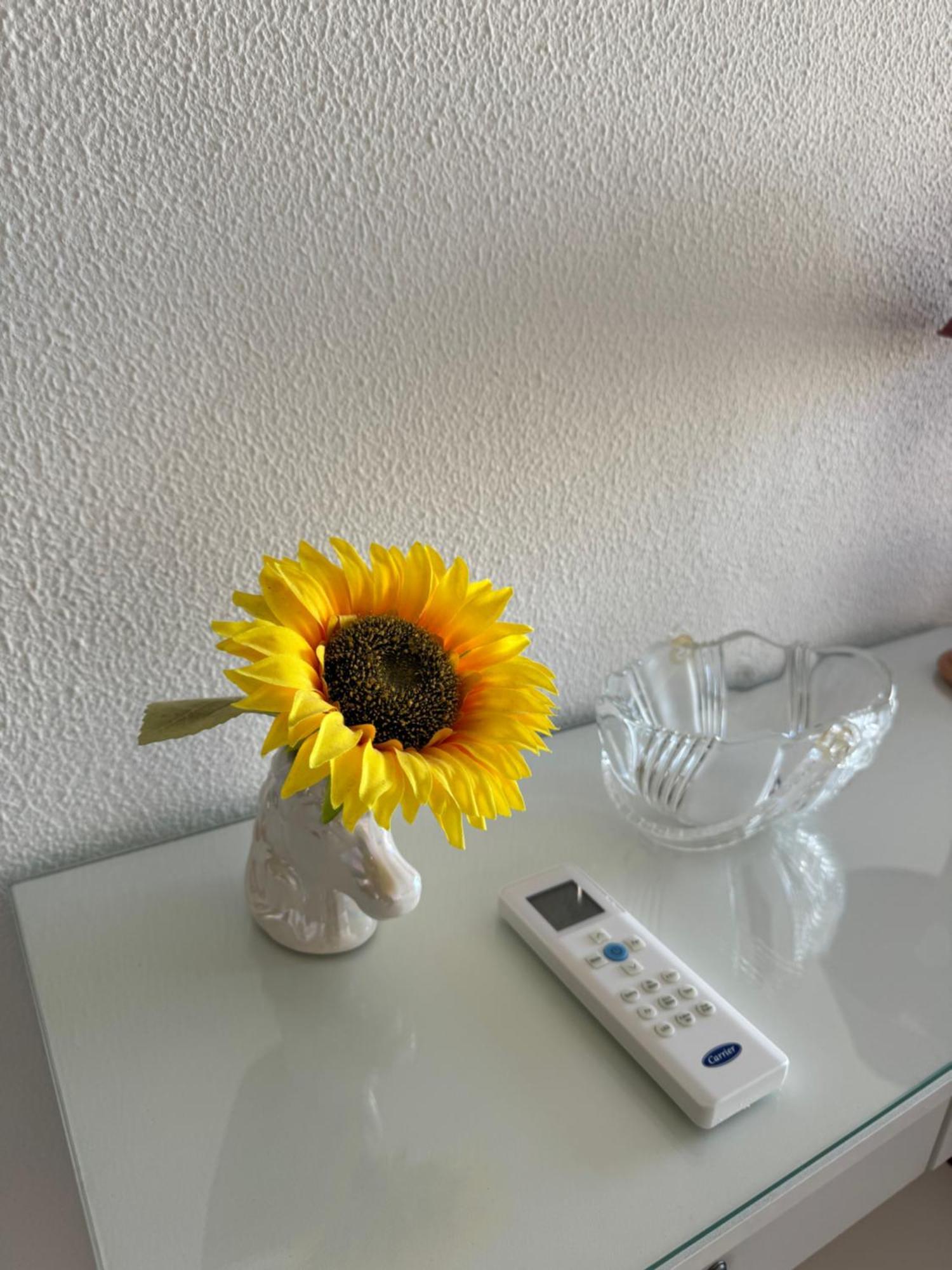 Armação de Pêra Apartment Algarve - Beach Front - Free Wifi - Air Con מראה חיצוני תמונה
